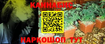apvp Рузаевка