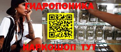 сатива Рыбинск