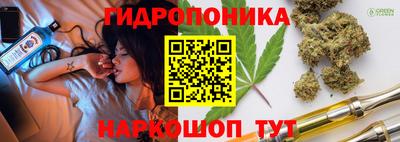 сатива Рыбинск