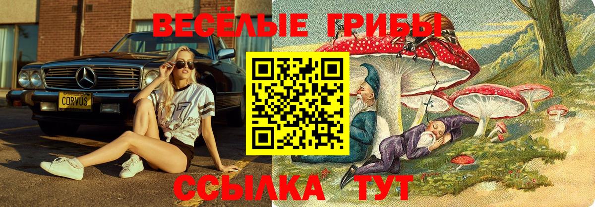 Псилоцибиновые грибы GOLDEN TEACHER Саянск